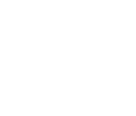 Payne Homes Logo - white
